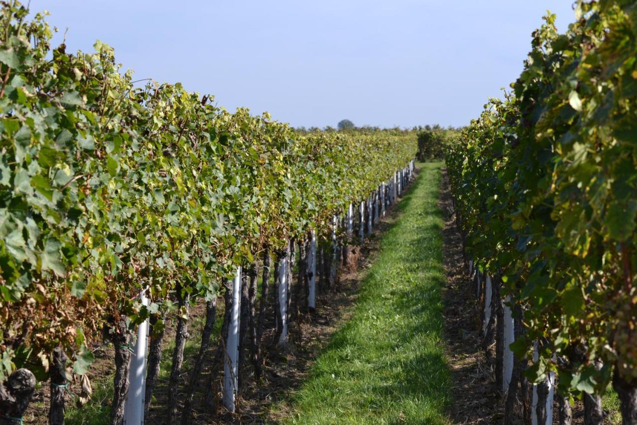 Zauber Der Pfalz Römerberg Exterior foto
