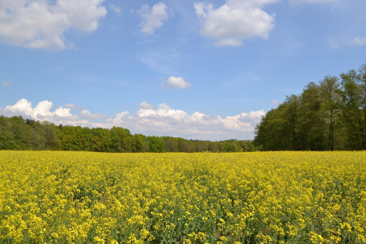 Zauber Der Pfalz Römerberg Exterior foto